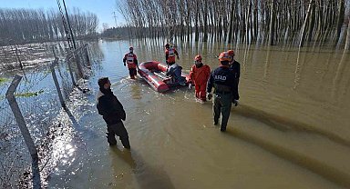Edirne'de koyunlar botlarla kurtarıldı