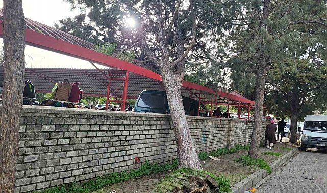 Efekent Pazaryeri'nde rüzgar ağacı devirdi