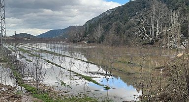 Elmanın başkenti Eğirdir'de yağış bereketi bahçeleri göle çevirdi