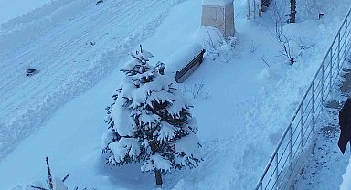 Erciş'te kar yağışı