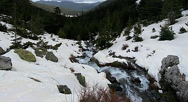 Eriyen kar ve yağmur suları su kaynaklarını coşturdu