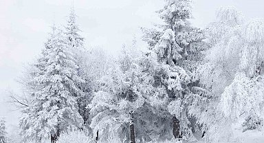 Erzincan için kuvvetli kar yağışı uyarısı
