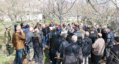 Erzincan'da meyve ağaçlarında budama eğitimi düzenlenecek