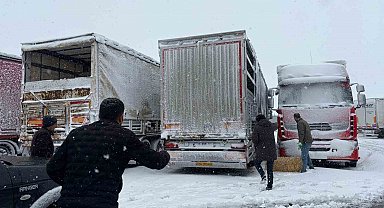 Erzincan'da yolda kalan 200 büyükbaş hayvana yem takviyesi