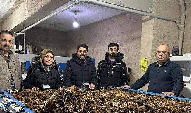 Erzurum'da atık yünler yeşil dönüşümle değer kazanıyor