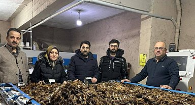 Erzurum'da atık yünler yeşil dönüşümle değer kazanıyor