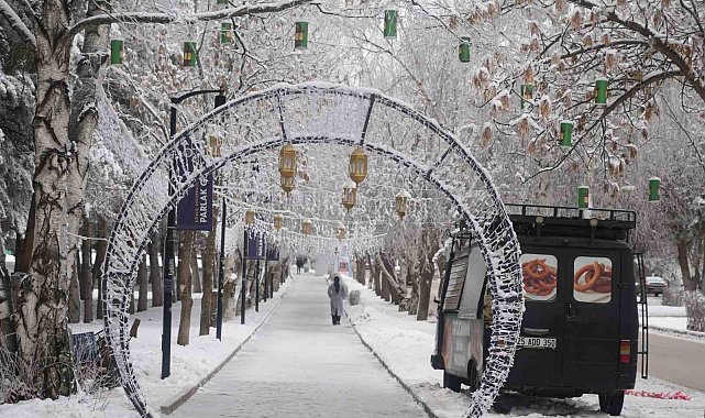 Erzurum'da soğuk havanın etkisiyle ağaçlar kırağı tuttu