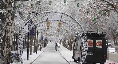 Erzurum'da soğuk havanın etkisiyle ağaçlar kırağı tuttu