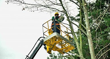 Esenyurt'ta bahar hazırlıkları başladı: Ağaçlar budanıyor