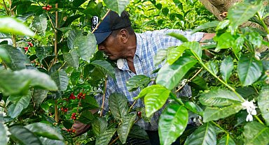 Espressolab'den kahve üretiminde şeffaf ve izlenebilir sistem