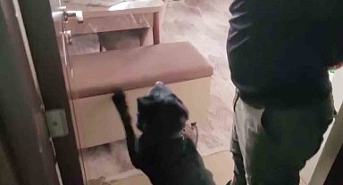 Evindeki sandıktan 814 gram eroin çıktı, "Satmıyorum, kullanıcıyım" dedi