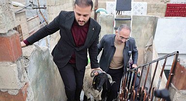 Eyyübiye'de 400 aileye 'koç' sürprizi