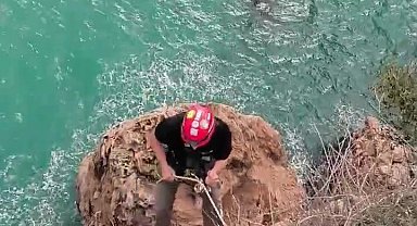 Falezlerde mahsur kalan kediyi film gibi operasyonla kurtardılar