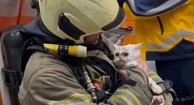 Fatih'te metruk binada çıkan yangın yanındaki ahşap binaya sıçradı: Bir kedi kurtarıldı