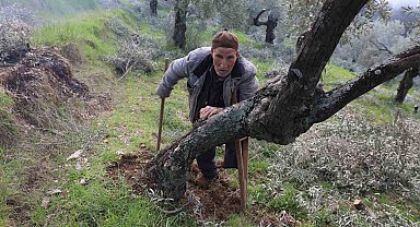 Film sahnesi değil gerçek hayat