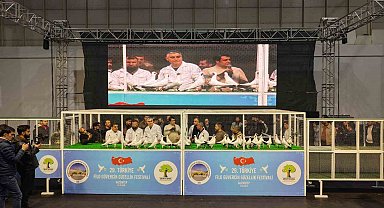 Gaziantep'te '29. Türkiye Filo Güvercin Güzellik Festivali' düzenlendi