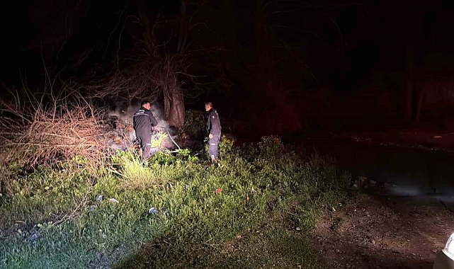 Gazipaşa Selinus Kalesi'ndeki çalılık yangını korkuttu