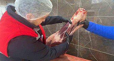 Gıda işletmelerine yönelik denetimler sürüyor