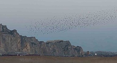 Gökyüzünde dans: Van Kalesi'nde sığırcık şöleni