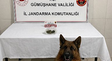 Gümüşhane'de uyuşturucu operasyonu