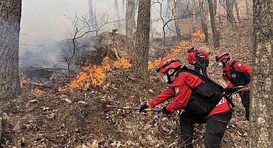 Güney Kore'de 3 gündür devam eden orman yangınında 190 hektarlık alan küle döndü