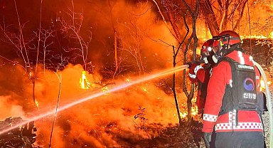 Güney Kore'de orman yangını: 200 futbol sahası büyüklüğünde alan küle döndü