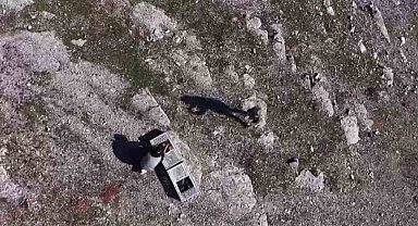 Habur'da ele geçirilen 38 kınalı keklik doğaya salındı