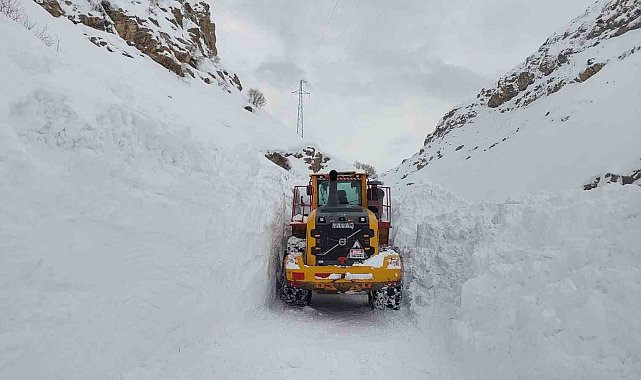 Hakkari-Çukurca yolunda çığ paniği: O anlar kamerada