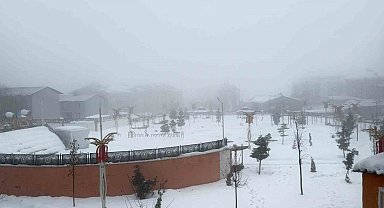 Hakkari'de karla karışık yağmur ve sis etkili oldu