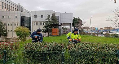 Hastane bahçelerinde budama ve bakım çalışması yapılıyor