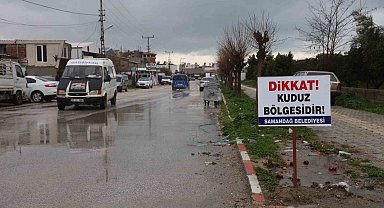 Hatay'da 4 mahalleye kuduz karantinası