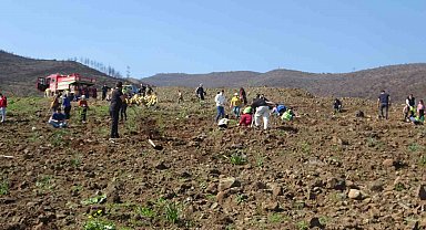 Hatay'da orman yangınından zarar gören alanlarda 5 bin fidan toprakla buluşturuldu