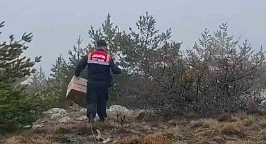 HAYDİ ekipleri doğadaki canlıları unutmadı