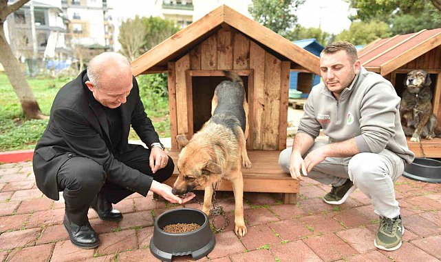 Hayırseverlerden 8 adet köpek ve 50 adet kedi kulübesi