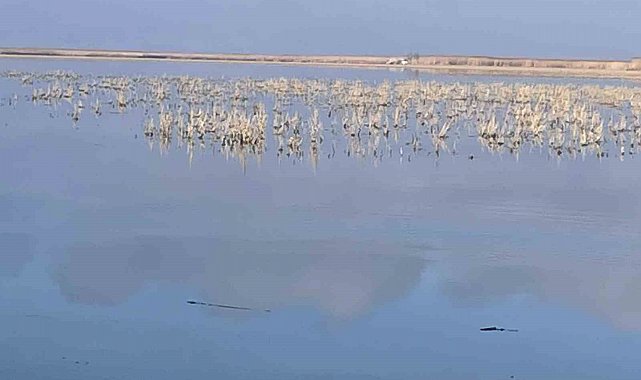 Her damlanın Eber Gölü'ne ulaşması için topyekun mücadele