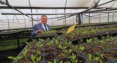 Honaz'da 8 Mart'a özel 8 bin çiçek kadınlara dağıtılacak