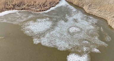 Iğdır'da donan Karasu Sazlığı'nda buzlar eriyor