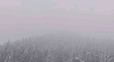 Ilgaz Dağı'nda kar yağışı etkili oldu