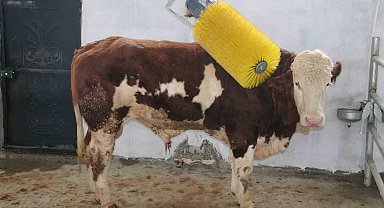 IPARD III ile Erzincan tarımına 178 milyon TL'lik yatırım desteği