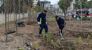 İzmir'de atıl alanlar mini ormana dönüşüyor