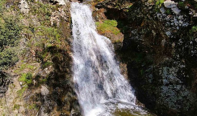 İzmir'de yağışların ardından Sancaklı Şelalesi coştu