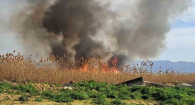 İznik'te rüzgarla birlikte sazlık yangını büyüyor