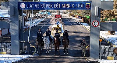 JAKEM'de atlar eğitimde