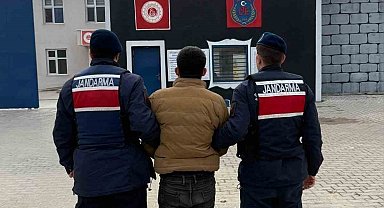Jandarma aranan 50 kişiyi gözaltına aldı