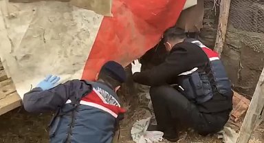 Jandarma, kümese saklanan uyuşturucuyu ele geçirdi: 2 gözaltı