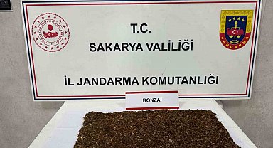 Jandarmadan uyuşturucu operasyonu: 1 tutuklama