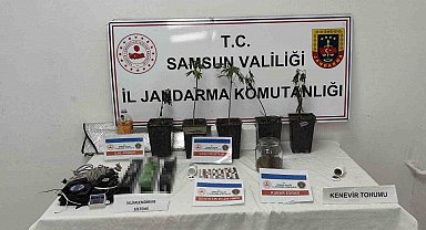 Jandarmadan uyuşturucu operasyonu