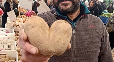 Kalp şeklindeki patates ilgi odağı oldu