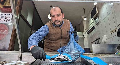 Karadeniz'de hamsi yerini istavrite bıraktı