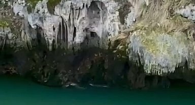 Karakoçan'da su samurları görüntülendi